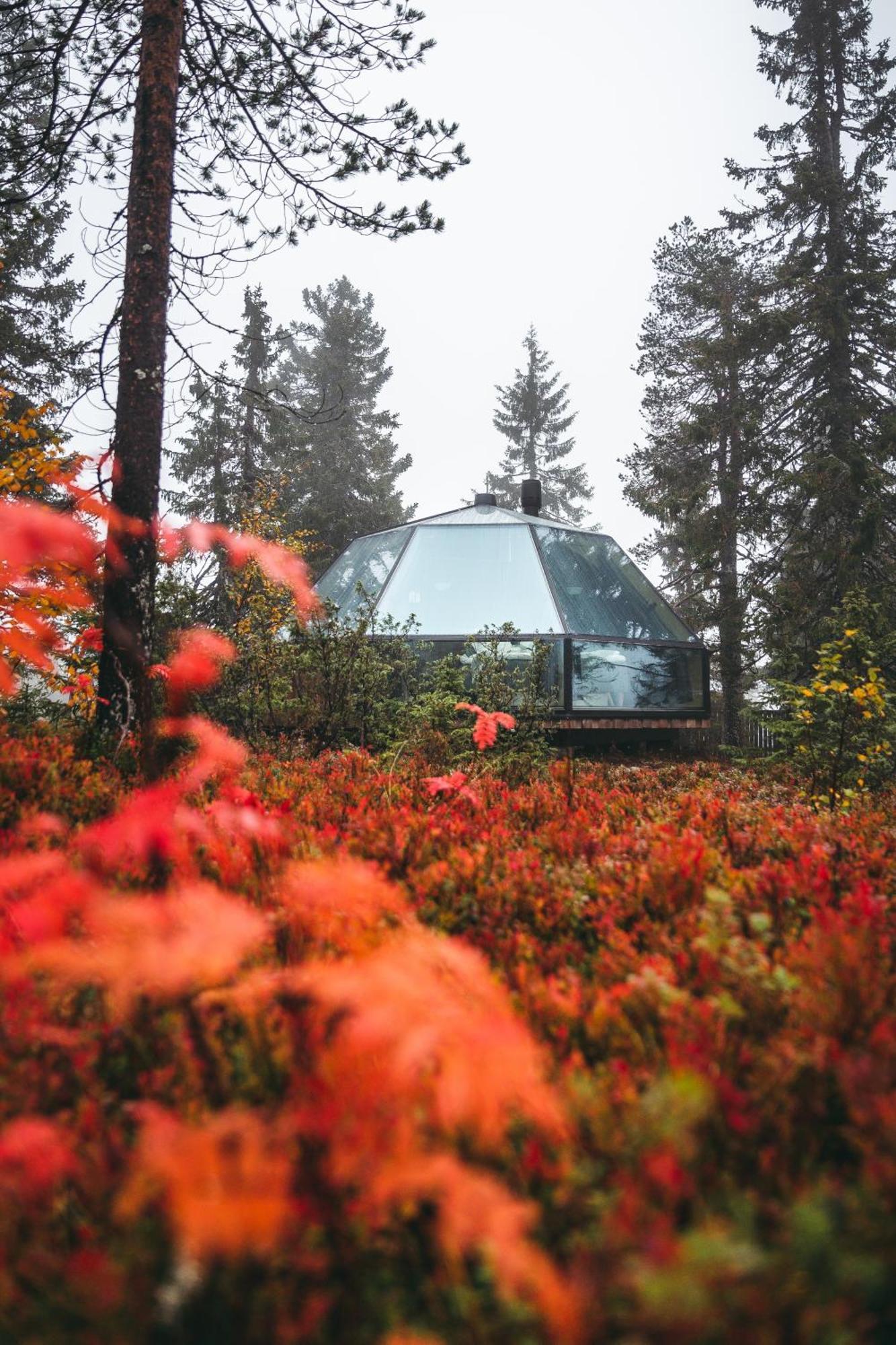Апартаменты Syoete Igloos Экстерьер фото